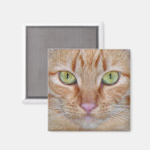 Orange Cat Magnet (Vorderseite/Rückseite)