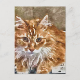 Orange Cat Postcard Postkarte