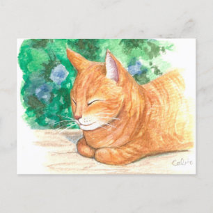 "Orange Cat Relaxing." Postkarte