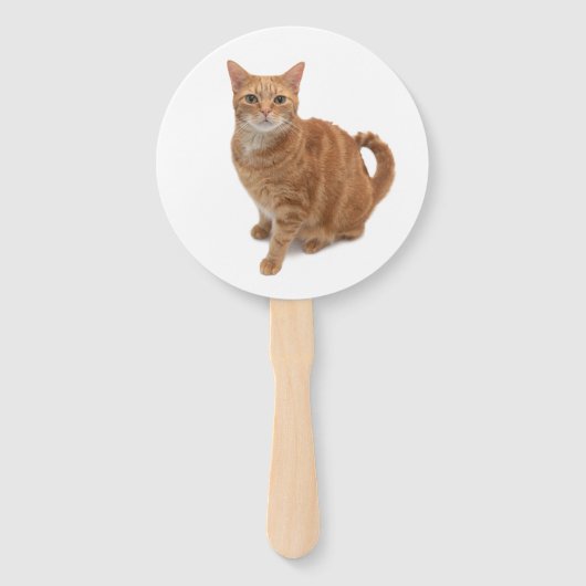 Orange Cat Standing Fächer (Vorderseite)