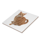 Orange Cat Standing Fliese (Seite)