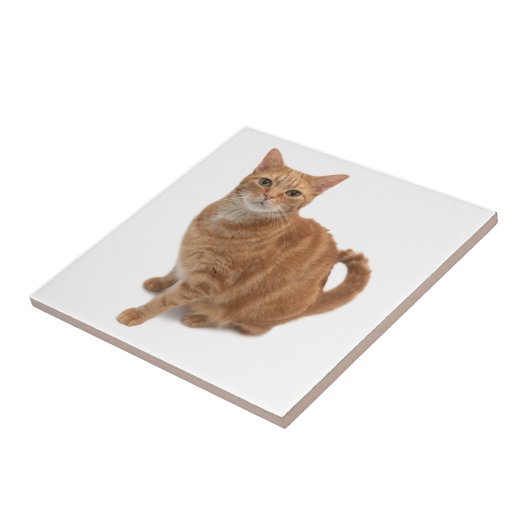 Orange Cat Standing Fliese (Seite)