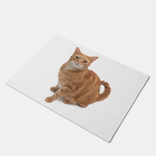 Orange Cat Standing Fußmatte (Schrägansicht)