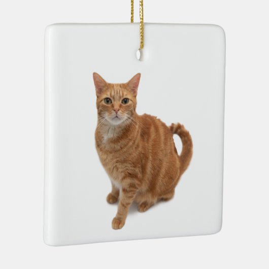 Orange Cat Standing Keramikornament (Rechts)