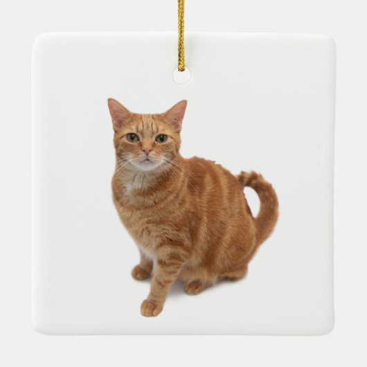 Orange Cat Standing Keramikornament (Rückseite)