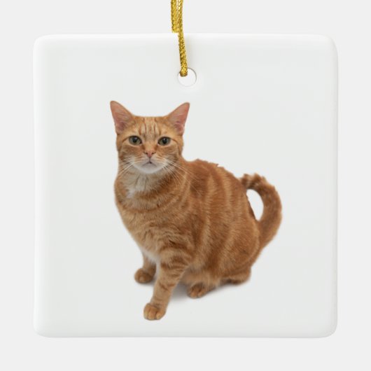 Orange Cat Standing Keramikornament (Vorderseite)