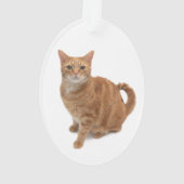 Orange Cat Standing Ornament (Rückseite)