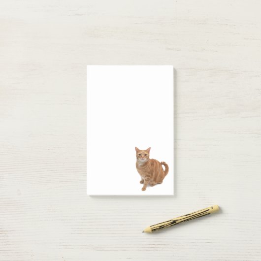 Orange Cat Standing Post-it Klebezettel (Auf Schreibtisch)