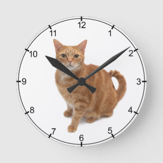 Orange Cat Standing Runde Wanduhr