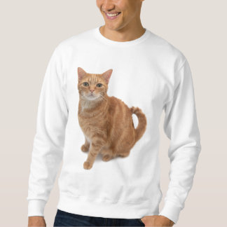 Orange Cat Standing Sweatshirt