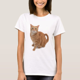 Orange Cat Stehend T-Shirt