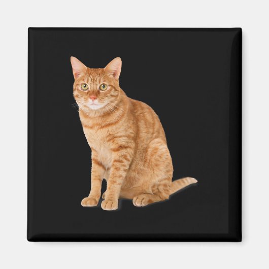 Orange Cat Tab Funny Cat Parody Cat Lover Gift Kit Magnet (Vorne)