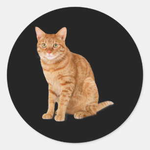 Orange Cat Tab Funny Cat Parody Cat Lover Gift Kit Runder Aufkleber