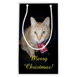 Orange Cat Wear Scarf Weihnachtsgeschenk Tasche Kleine Geschenktüte