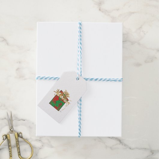 Orange Cat Weihnachtsgeschenk Geschenkanhänger (Mit Garn)