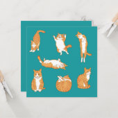 Orange Cats Funny Birthday Karte (Vorderseite/Rückseite Beispiel)