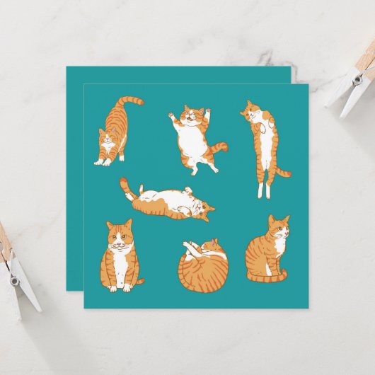 Orange Cats Funny Birthday Karte (Vorderseite/Rückseite Beispiel)