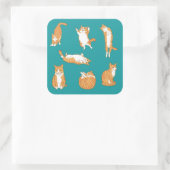 Orange Cats Funny Quadratischer Aufkleber (Tasche)