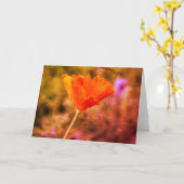 Orange-Chiffon-Mohn und -Wand Karte (Gelbe Blume)