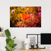 Orange-Chiffon-Mohn und -Wand Poster (Heimbüro)