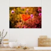 Orange-Chiffon-Mohn und -Wand Poster (Küche)