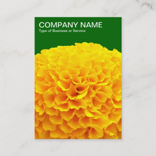 Orange Chrysanthemum - Deep Grass Green 006600 Visitenkarte (Vorderseite)