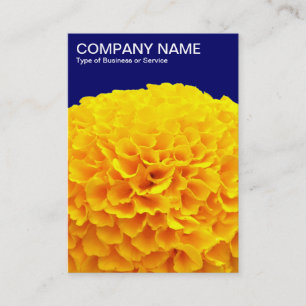 Orange Chrysanthemum - Deep Navy Visitenkarte