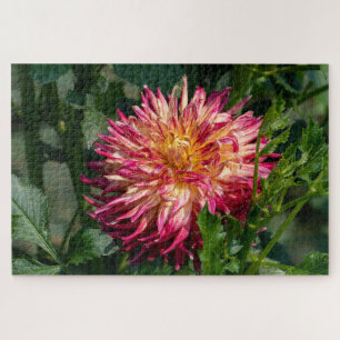 Orange Chrysanthemum Fotografie, kanadische Schönh Puzzle