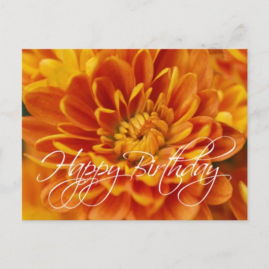 Orange Chrysanthemum Happy Birthday Postkarte (Vorderseite)