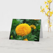 Orange Chrysanthemum Karte (Gelbe Blume)