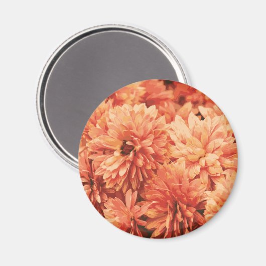 Orange Chrysanthemum Magnet (Vorderseite/Rückseite)