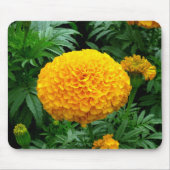 Orange Chrysanthemum Mousepad (Vorne)