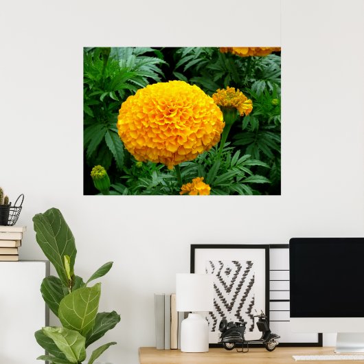 Orange Chrysanthemum Poster (Heimbüro)
