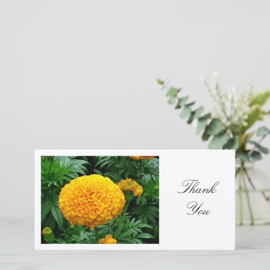 Orange Chrysanthemum - Vielen Dank Dankeskarte (Stehend Vorderseite)