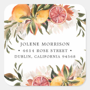 Orange Citrus Botanical Rücksendeetikett Quadratischer Aufkleber