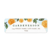 Orange Citrus Fruit (Vorne)