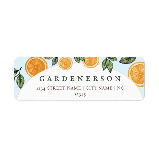 Orange Citrus Fruit (Vorne)