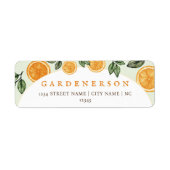 Orange Citrus Fruit (Vorne)