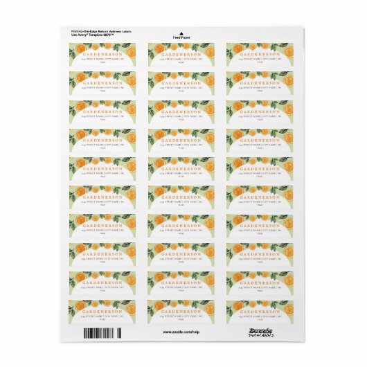 Orange Citrus Fruit (Vorne)