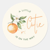 Orange Citrus Little Süsse Baby Dusche Gefallen Runder Aufkleber (Vorderseite)