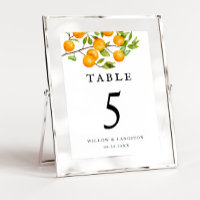 Orange Citrus Rustic Wedding Tischnummer