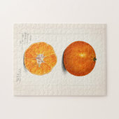 Orange (Citrus Sinensis) Fruchtfarben Puzzle (Horizontal)