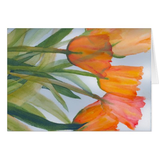 Orange Citrus Tulips (Vorderseite (Horizontal))
