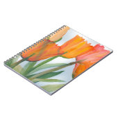 Orange Citrus Tulips Notizblock (Linke Seite)