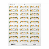Orange Citrusfrucht Adresse (Vorne)