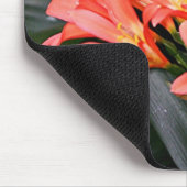 Orange Clivia Blume in Blüte Mousepad (Ecke)