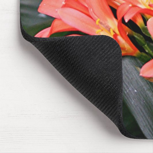 Orange Clivia Blume in Blüte Mousepad (Ecke)