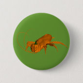 Orange Cockroach Button (Vorderseite)