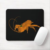 Orange Cockroach Mousepad (Mit Mouse)