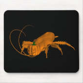 Orange Cockroach Mousepad (Vorne)